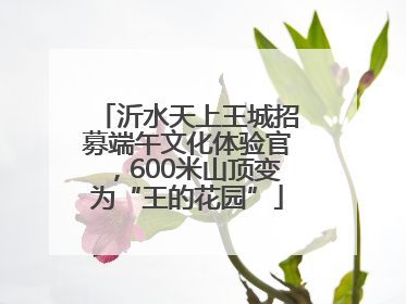 沂水天上王城招募端午文化体验官，600米山顶变为“王的花园”