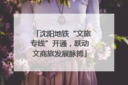 沈阳地铁“文旅专线”开通，跃动文商旅发展脉搏