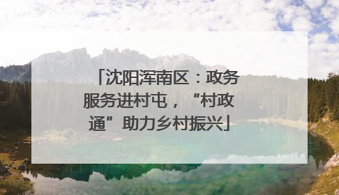 沈阳浑南区：政务服务进村屯，“村政通”助力乡村振兴