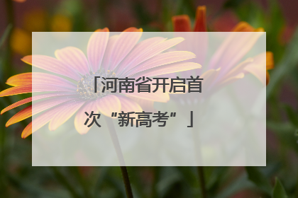 河南省开启首次“新高考”