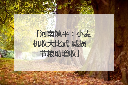 河南镇平：小麦机收大比武 减损节粮助增收