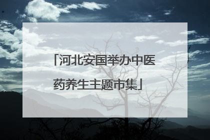河北安国举办中医药养生主题市集