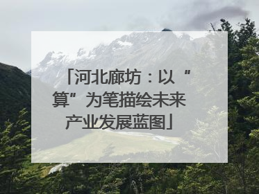 河北廊坊：以“算”为笔描绘未来产业发展蓝图
