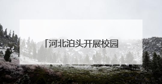 河北泊头开展校园端午节系列活动
