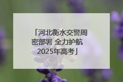 河北衡水交警周密部署 全力护航2025年高考