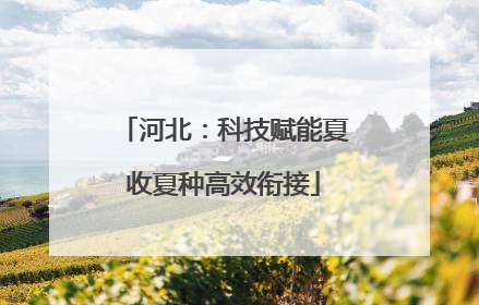 河北：科技赋能夏收夏种高效衔接