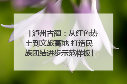 泸州古蔺：从红色热土到文旅高地 打造民族团结进步示范样板