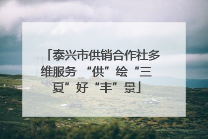 泰兴市供销合作社多维服务 “供”绘“三夏”好“丰”景