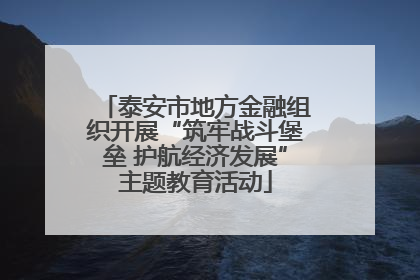泰安市地方金融组织开展“筑牢战斗堡垒 护航经济发展”主题教育活动