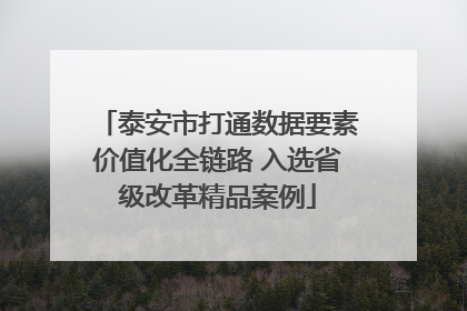 泰安市打通数据要素价值化全链路 入选省级改革精品案例