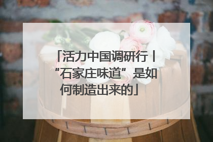活力中国调研行丨“石家庄味道”是如何制造出来的