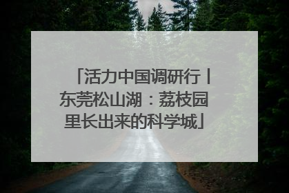 活力中国调研行丨东莞松山湖：荔枝园里长出来的科学城