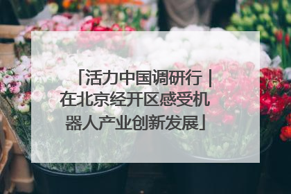 活力中国调研行｜在北京经开区感受机器人产业创新发展