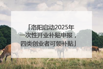 洛阳启动2025年一次性开业补贴申报，四类创业者可领补贴