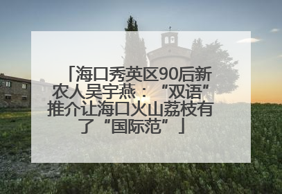海口秀英区90后新农人吴宇燕：“双语”推介让海口火山荔枝有了“国际范”