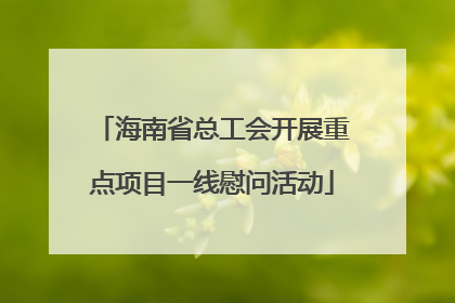 海南省总工会开展重点项目一线慰问活动