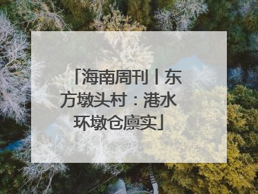 海南周刊丨东方墩头村：港水环墩仓廪实