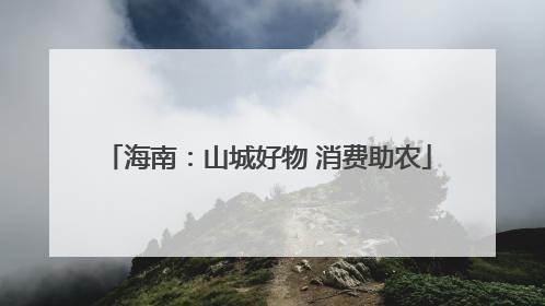 海南：山城好物 消费助农