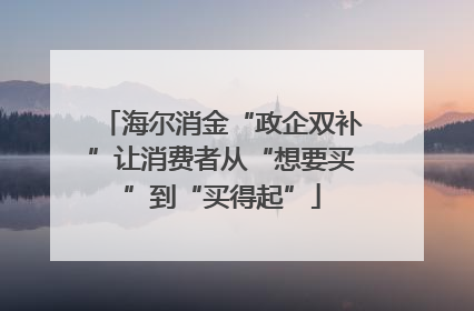海尔消金“政企双补”让消费者从“想要买”到“买得起”