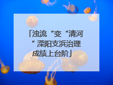 浊流“变“清河“ 溧阳支浜治理成绩上台阶