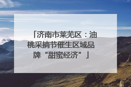 济南市莱芜区：油桃采摘节催生区域品牌“甜蜜经济”