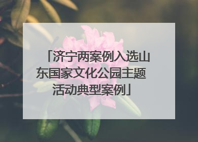 济宁两案例入选山东国家文化公园主题活动典型案例