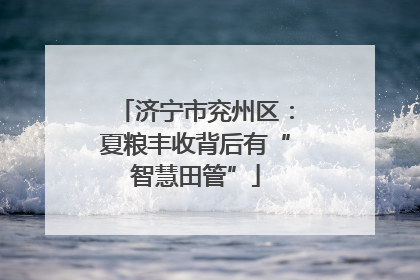 济宁市兖州区：夏粮丰收背后有“智慧田管”