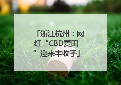 浙江杭州：网红“CBD麦田”迎来丰收季