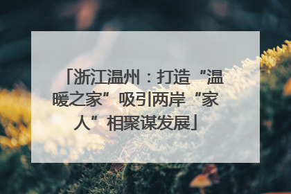 浙江温州：打造“温暖之家”吸引两岸“家人”相聚谋发展