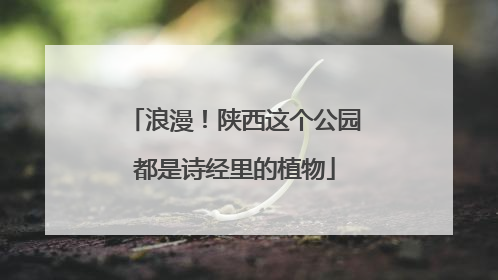 浪漫！陕西这个公园都是诗经里的植物