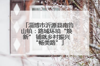 淄博市沂源县南鲁山镇：路域环境“焕新” 铺就乡村振兴“畅美路”