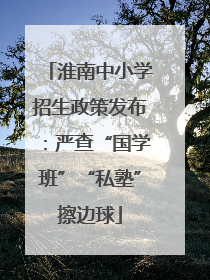 淮南中小学招生政策发布：严查“国学班”“私塾”擦边球