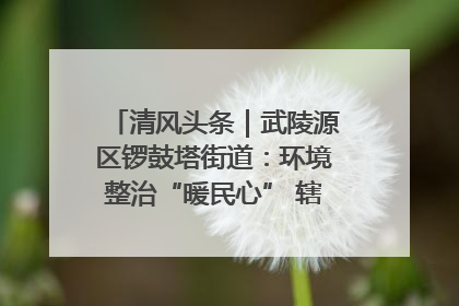 清风头条｜武陵源区锣鼓塔街道：环境整治“暖民心” 辖区面貌“靓”起来
