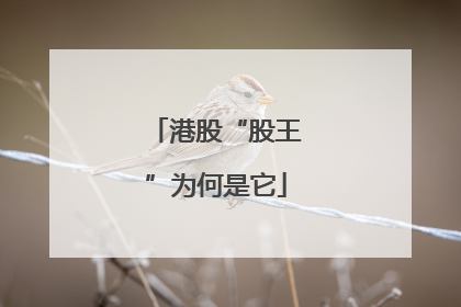 港股“股王”为何是它