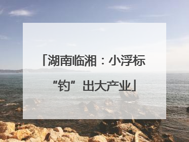 湖南临湘：小浮标“钓”出大产业