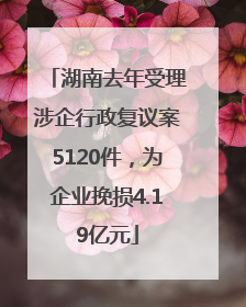 湖南去年受理涉企行政复议案5120件，为企业挽损4.19亿元