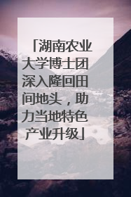 湖南农业大学博士团深入隆回田间地头，助力当地特色产业升级