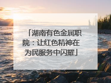 湖南有色金属职院：让红色精神在为民服务中闪耀