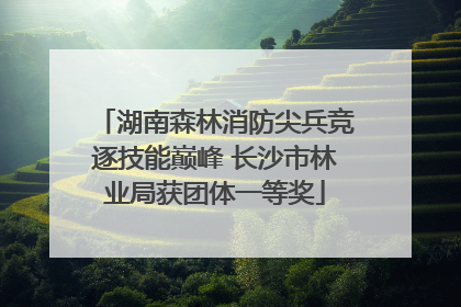 湖南森林消防尖兵竞逐技能巅峰 长沙市林业局获团体一等奖