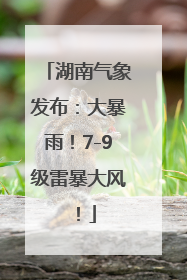 湖南气象发布：大暴雨！7-9级雷暴大风！