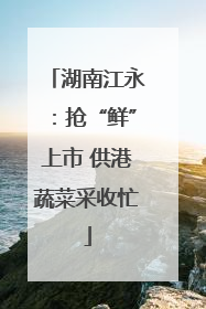湖南江永：抢“鲜”上市 供港蔬菜采收忙