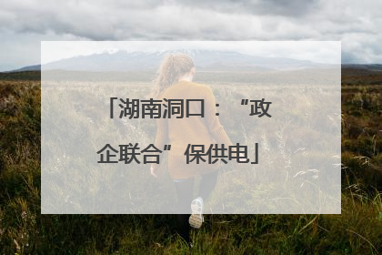 湖南洞口：“政企联合”保供电