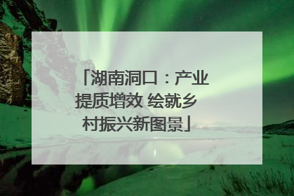 湖南洞口：产业提质增效 绘就乡村振兴新图景