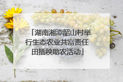 湖南湘潭韶山村举行生态农业共富责任田插秧助农活动