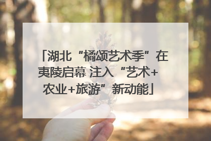 湖北“橘颂艺术季”在夷陵启幕 注入“艺术+农业+旅游”新动能