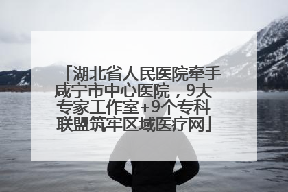 湖北省人民医院牵手咸宁市中心医院，9大专家工作室+9个专科联盟筑牢区域医疗网