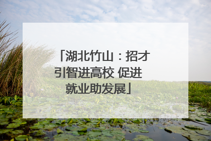 湖北竹山：招才引智进高校 促进就业助发展