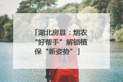 湖北房县：烟农“好帮手”解锁植保“新姿势”