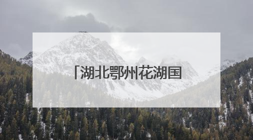 湖北鄂州花湖国际机场开通4条“荔枝航线”