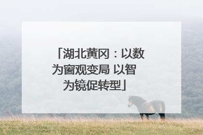 湖北黄冈：以数为窗观变局 以智为镜促转型